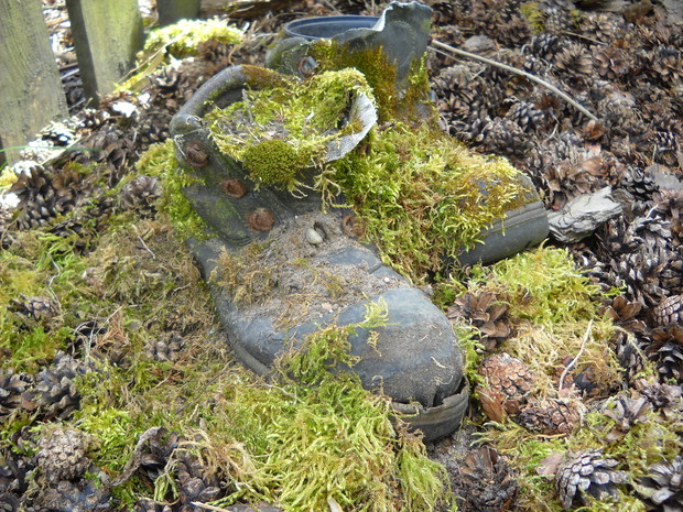 Stare buty w nowej roli.