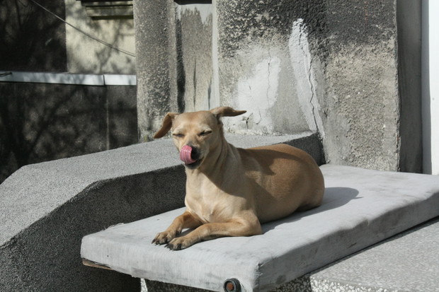 Ulcia przesyła buziaczka;-)