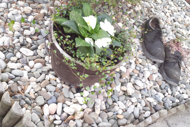 Wczoraj powstawały różne kompozycje.