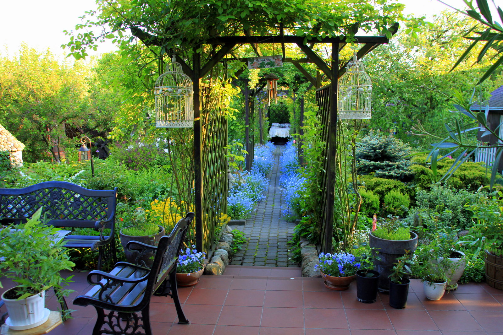 droga usłana niezapominajkami...