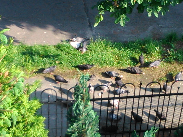 Goście mówią: "Już się najedliśmy, dziękujemy''