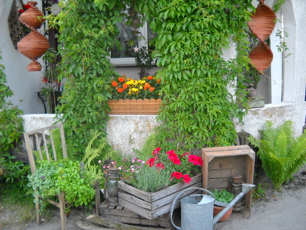 Krzesło wypełnione Rojnikami i stare skrzynki po ziemniakach.