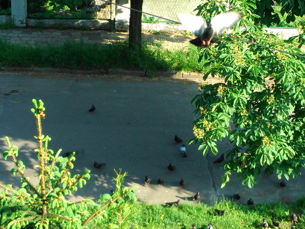 "Może jednak jakiś okruszek..." :)