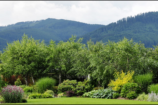 Nasze kochane Beskidy