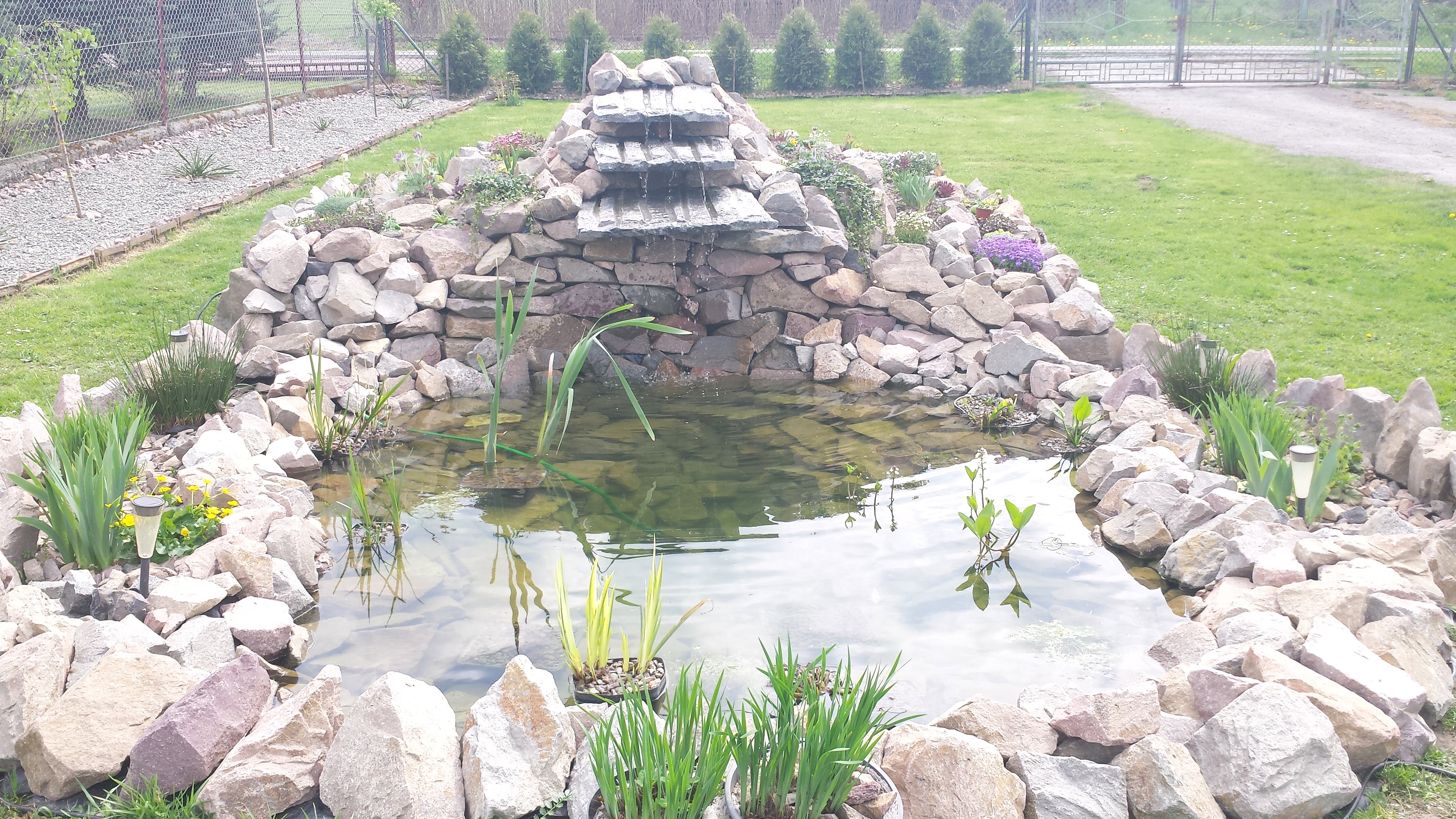 Oczko wraz ze skalniakiem 