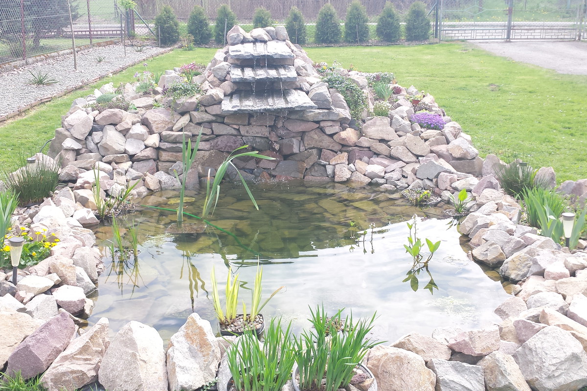 Oczko wraz ze skalniakiem