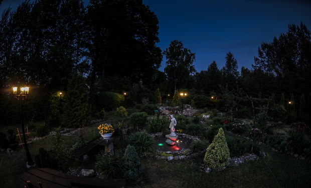 ogród nocą