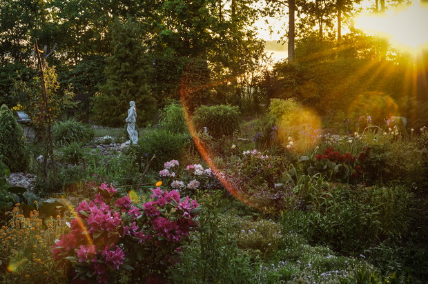 ogród o wchodzie słońca 