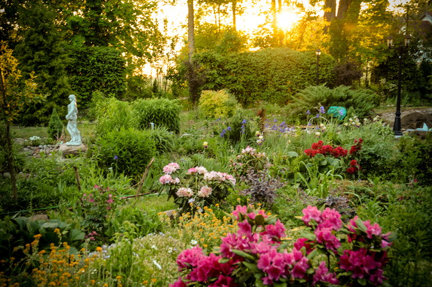 ogród o wchodzie słońca 