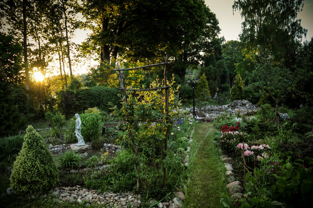 ogród o wchodzie słońca 