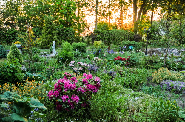 
ogród o wchodzie słońca 