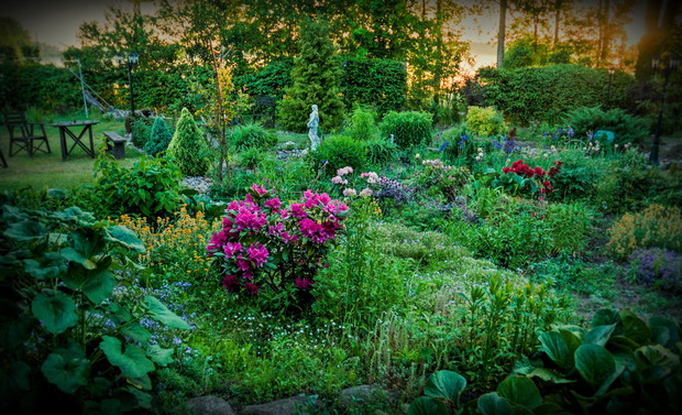 ogród o wchodzie słońca 