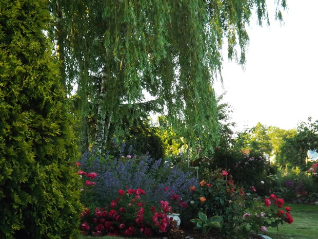 Ogród w nowej szacie 