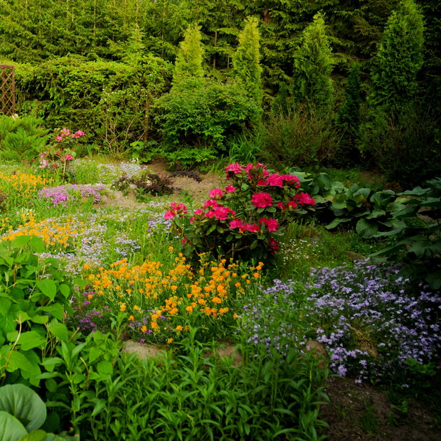 południowa część ogrodu