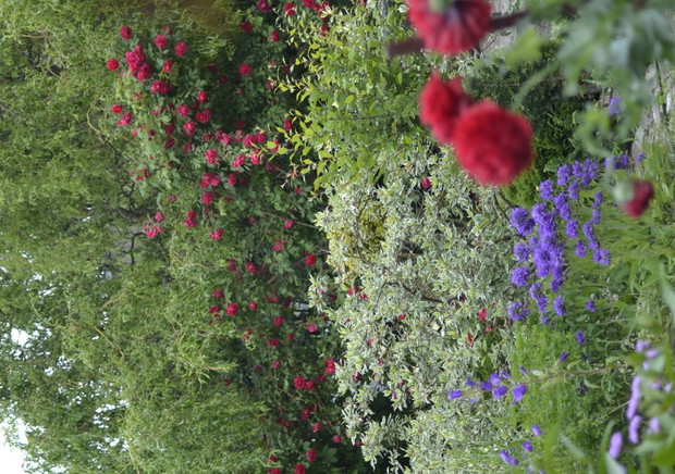 Rabaty blisko tarasu