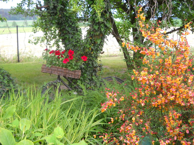 Rower jako kwietnik.