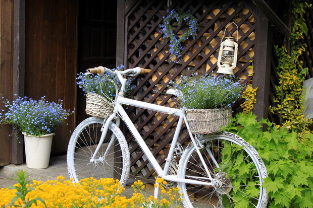 rowerkiem na niezapominajki...