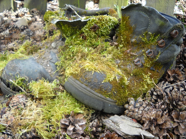 Stare zamszone buty.