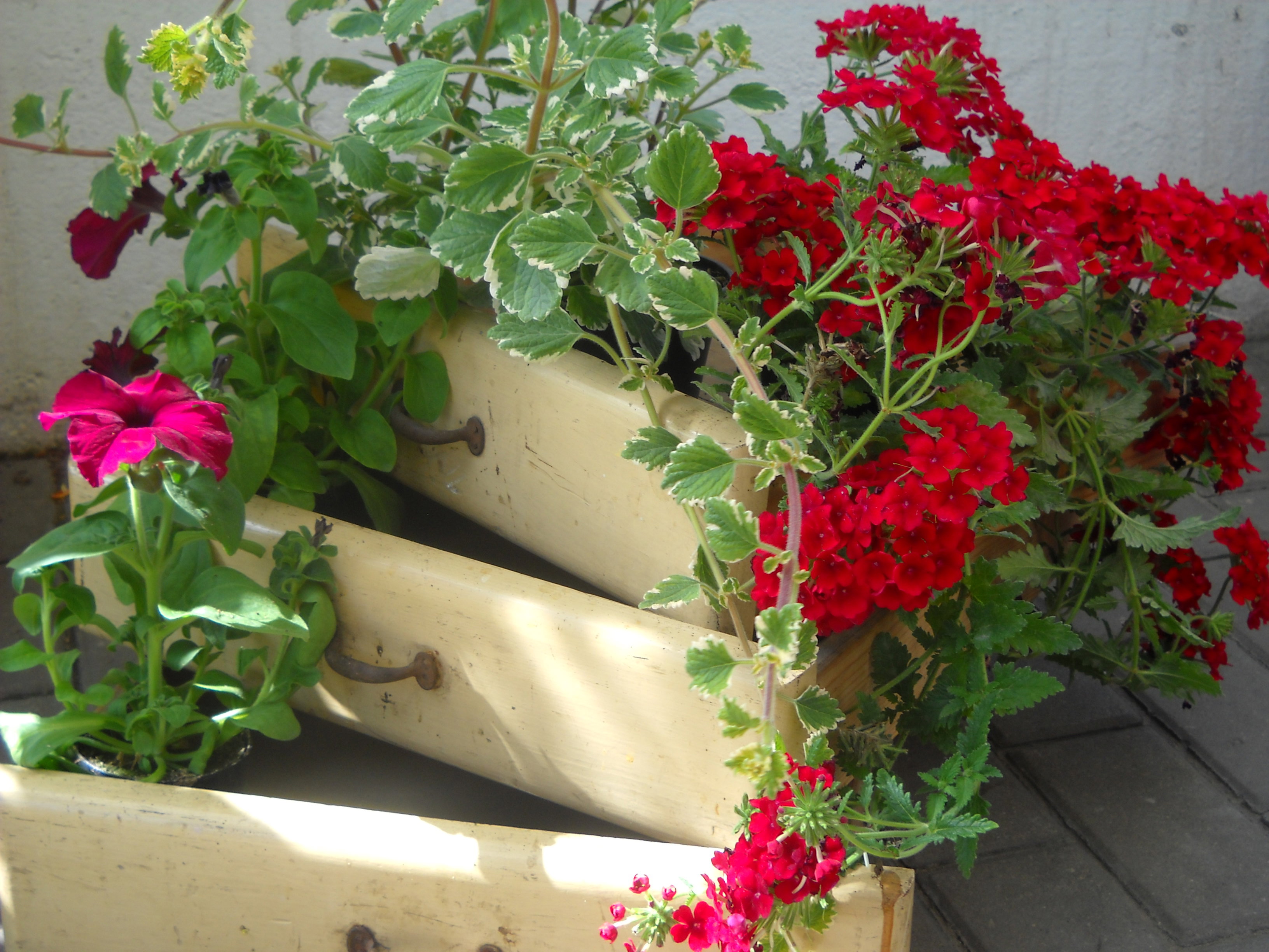 Szufladki wypełnione kwiatami.