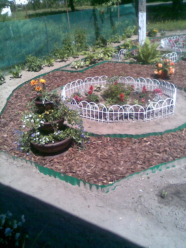 To dzisiejsze zdjęcia