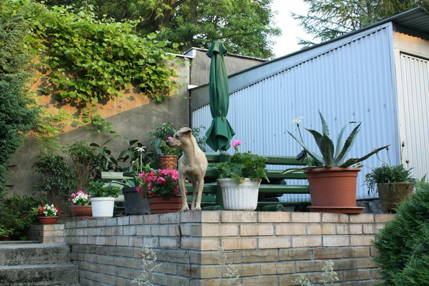 To punkt widokowy Uli