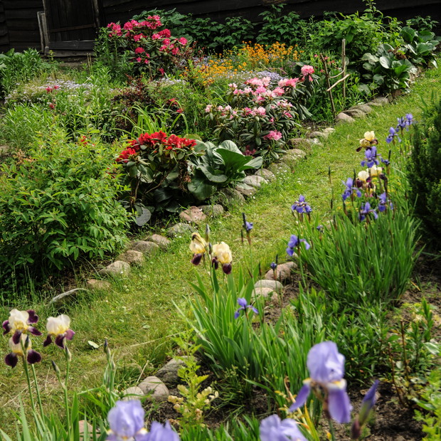 trawiasta alejka prowadząca do oczka wodnego 