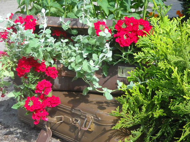 Walizka w innym wydaniu.