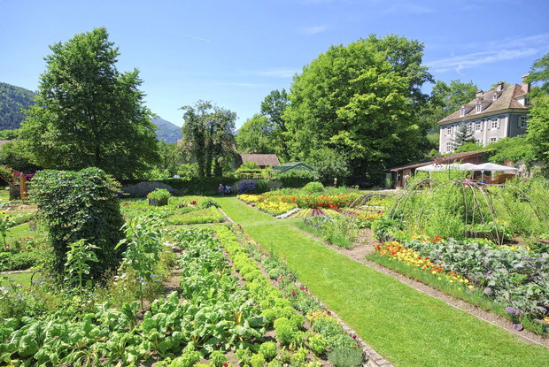 Warzywa to nie tylko źródło pożywienia, ale również doskonały element upiększający ogród - pamiętając o tym przy planowaniu przestrzeni, można osiągnąć niebagatelny efekt (zdj.: Fotolia.com)