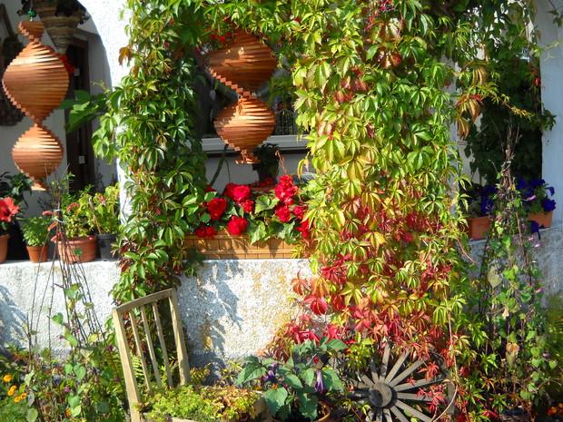 Wiatraczki z drewna.