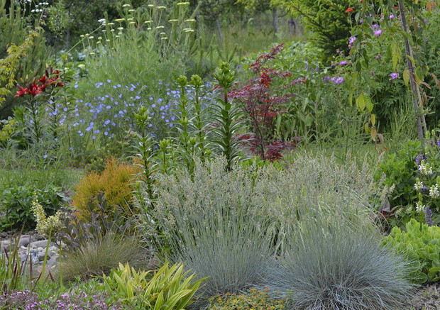 ....z innej perspektywy.