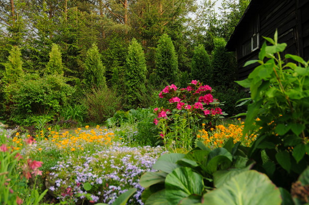 zaciszny kącik w  południowej części 