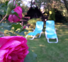 Białczański ogród Małgorzaty