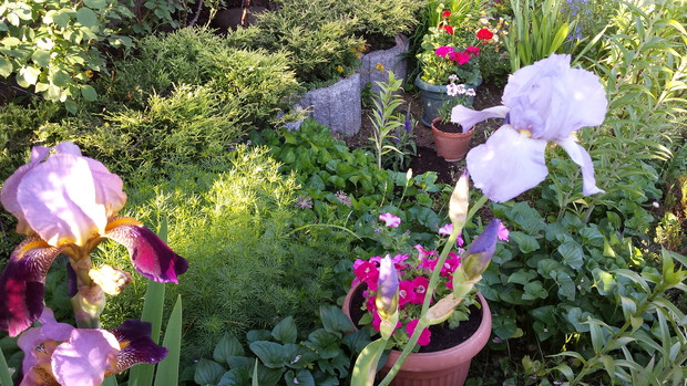 Białczański ogród Małgorzaty