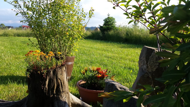 Białczański ogród Małgorzaty