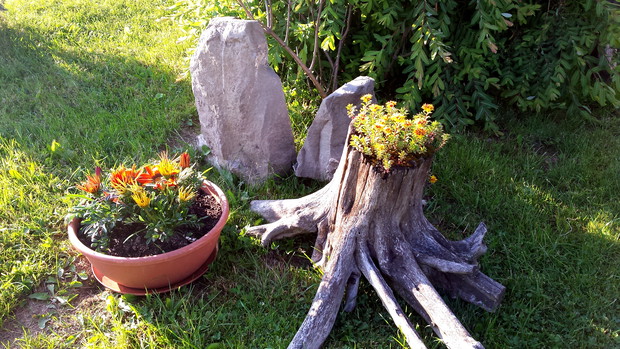 Białczański ogród Małgorzaty