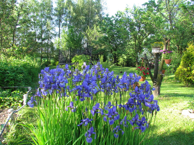 Białczański ogród Małgorzaty