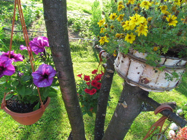 Białczański ogród Małgorzaty