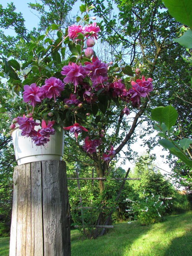 Białczański ogród Małgorzaty