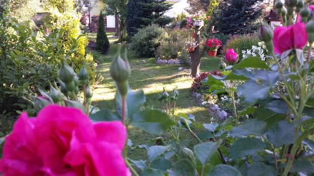 Białczański ogród Małgorzaty