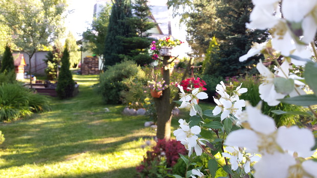 Białczański ogród Małgorzaty