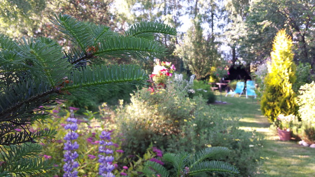 Białczański ogród Małgorzaty