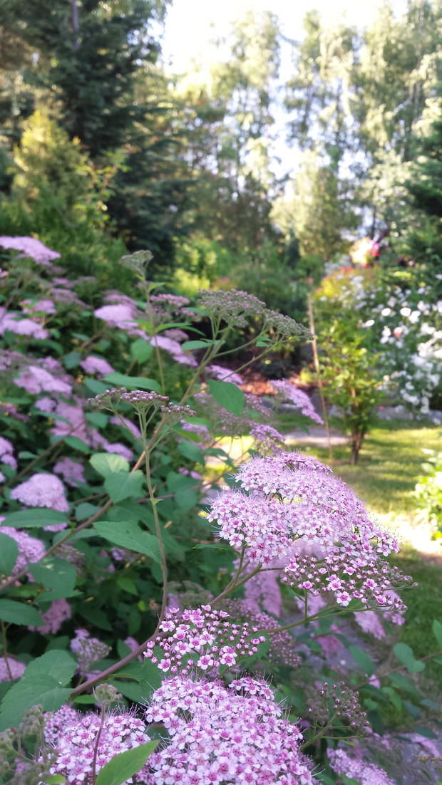 Białczański ogród Małgorzaty