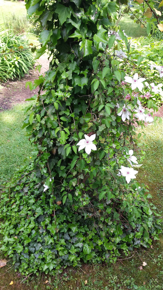 Białczański ogród Małgorzaty