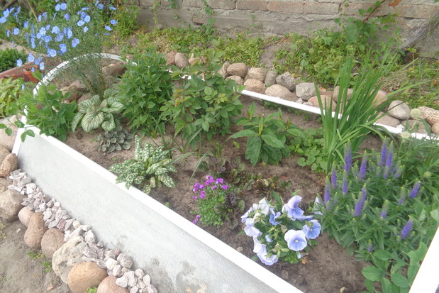 Byliny pięknie wzajemnie się uzupełniają .