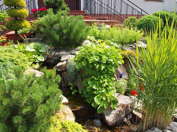 DRUGA STRONA OCZKA ZE STRUMYKIEM