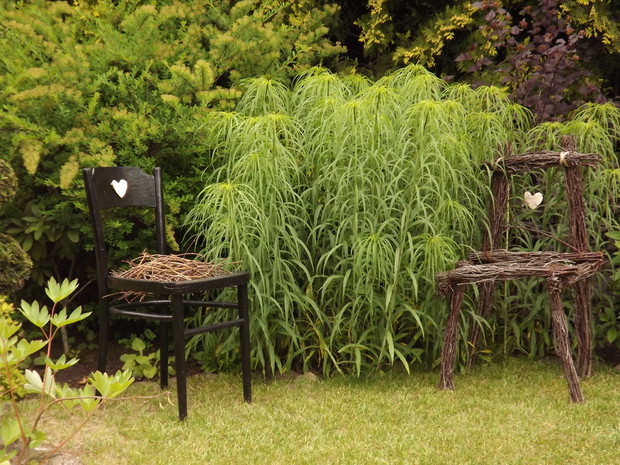 Dwa krzesełka jedno stare z duszą, a drugie wykonane sercem z gałązek czereśniowych