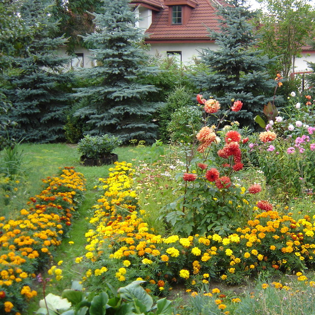 Gdy spojrzę na sąsiada