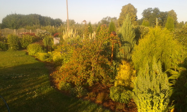 Gra świateł i cieni