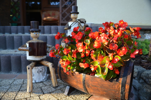 Grające ludki pilnujące kwiatów