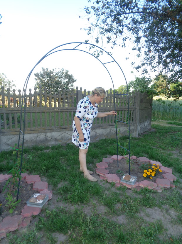 Ja i moje nasadzenia